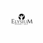 ELYSIUM palestra - salus